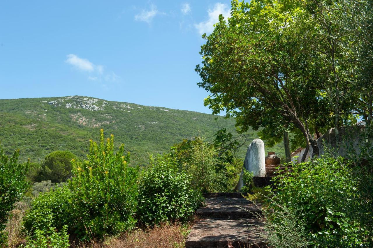 Quinta Da Arrabida Villa Сесимбра Екстериор снимка