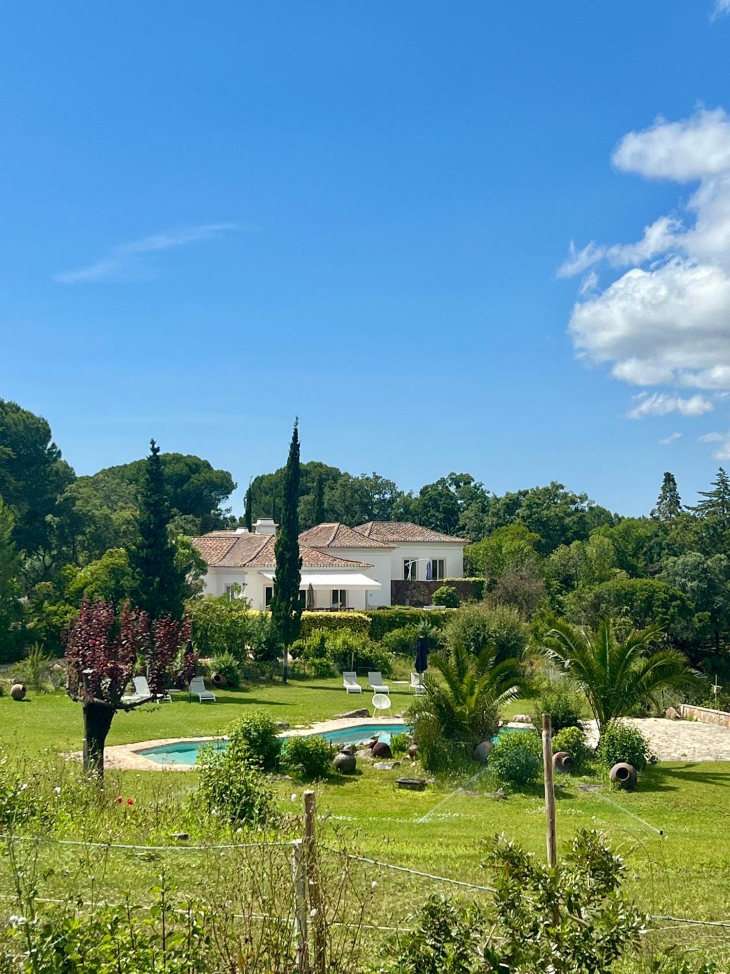 Quinta Da Arrabida Villa Сесимбра Екстериор снимка